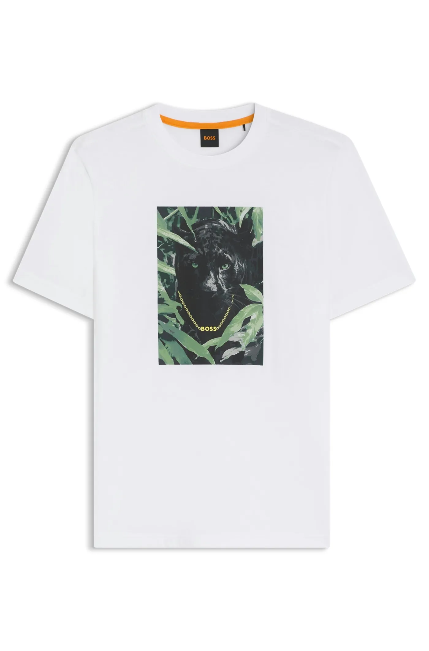 Te_Animali