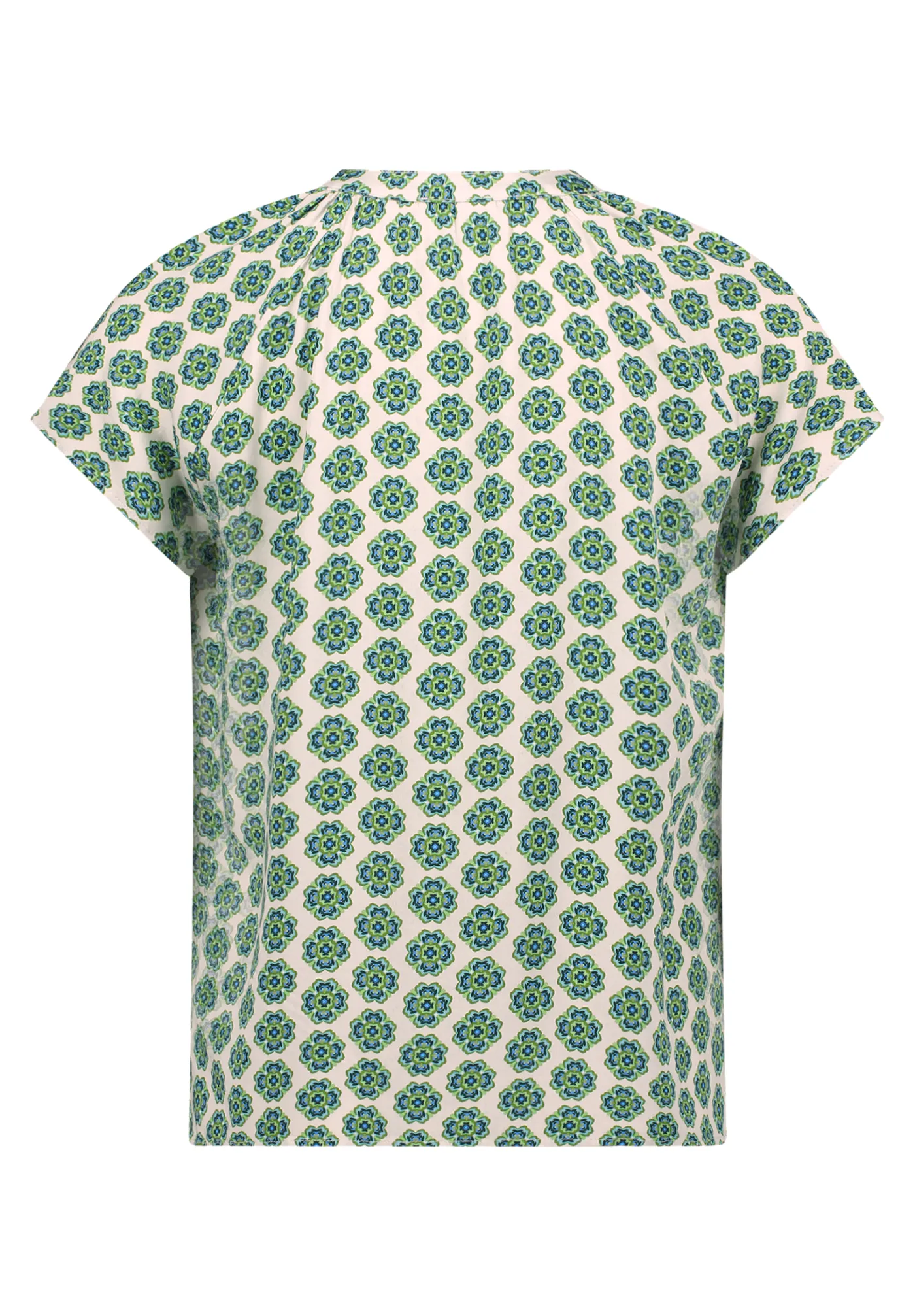 Blusenshirt